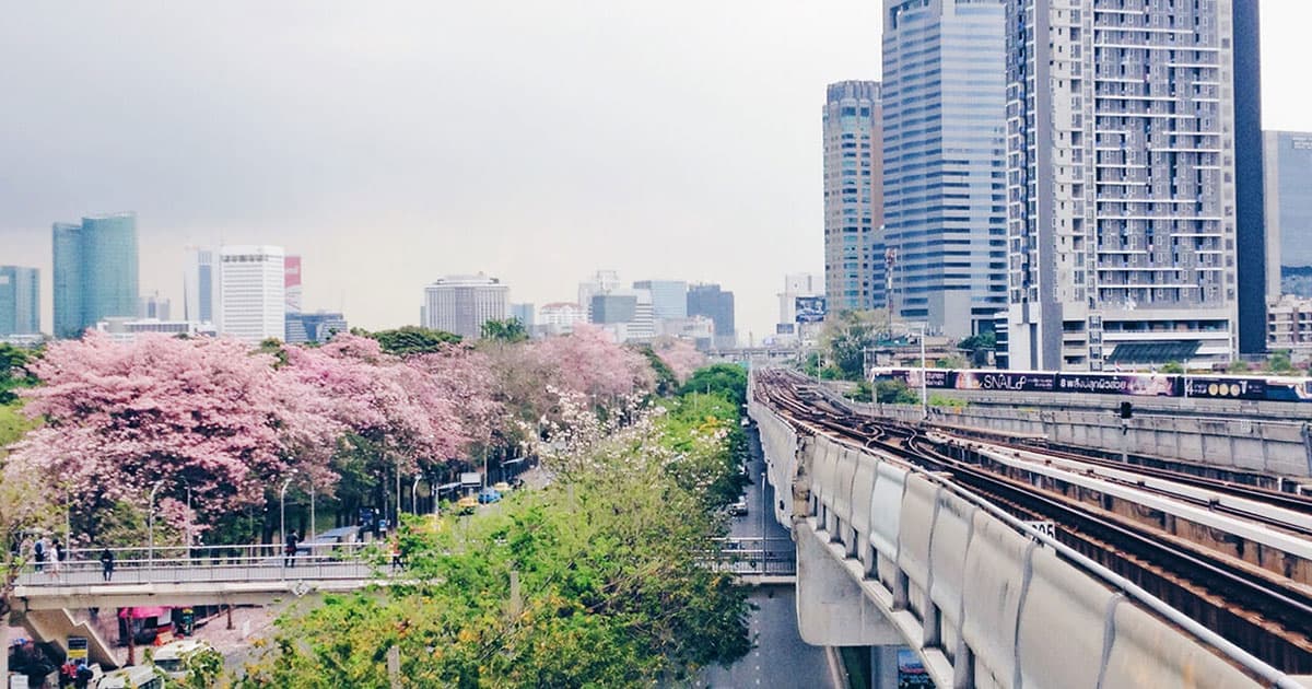 คอนโด หมอชิต - จตุจักร ลาดพร้าว พหลโยธิน ใกล้มอเกษตร